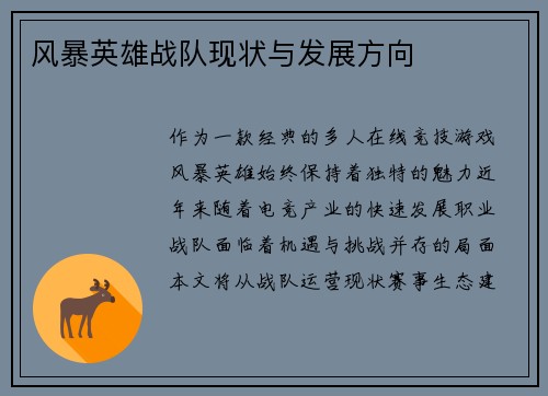 风暴英雄战队现状与发展方向